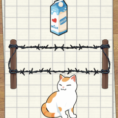 Brain Test Brain Test