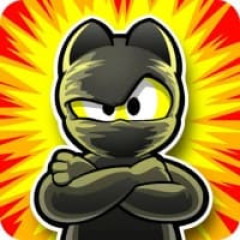 Cat Ninja