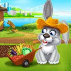 bunny farm
