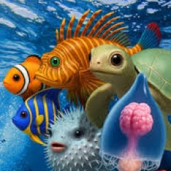 evo fish